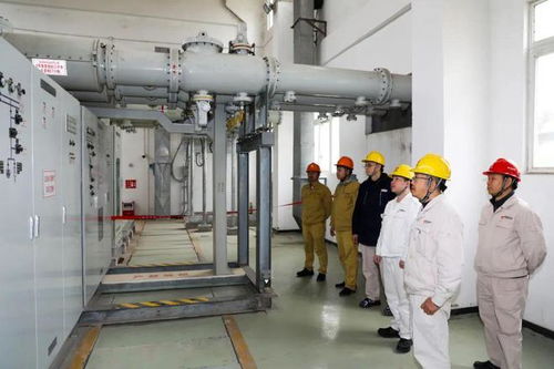 保障能源安全 國(guó)能肇慶電廠二期工程廠用電受電一次成功，手機(jī)軟件設(shè)計(jì)助力智慧電廠
